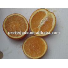 Sweet Navel Orange supplier